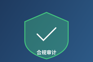 合规审计