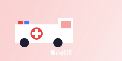 重症转运